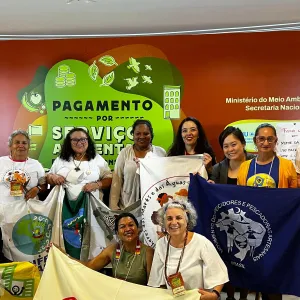Em brasília, Sema apresenta iniciativas relacionadas ao PSA na gestão baiana